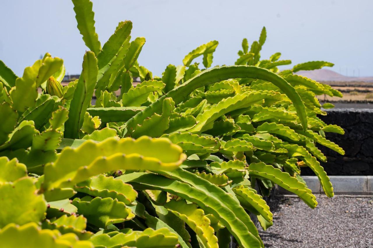 Hotel Eslanzarote Eco Dome Experience Teguise  Esterno foto