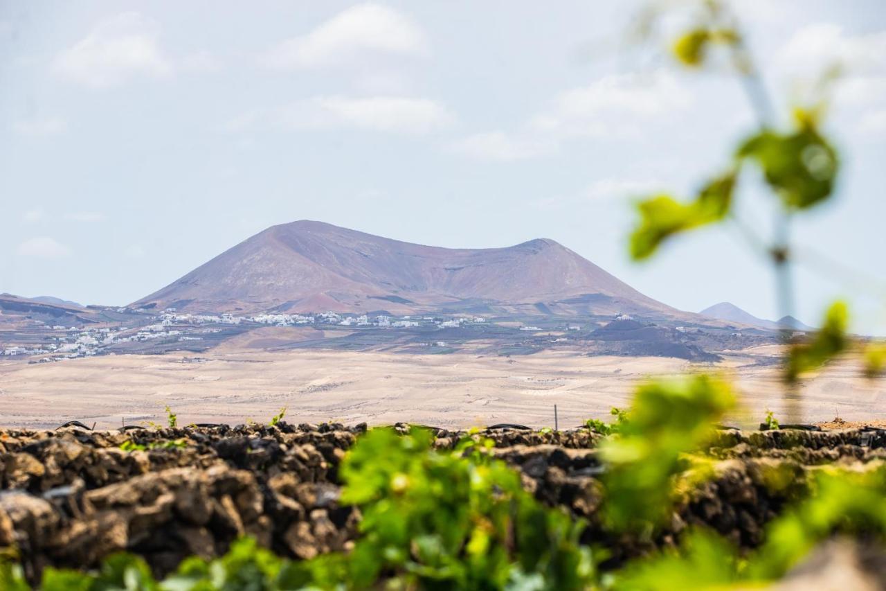 Hotel Eslanzarote Eco Dome Experience Teguise  Esterno foto