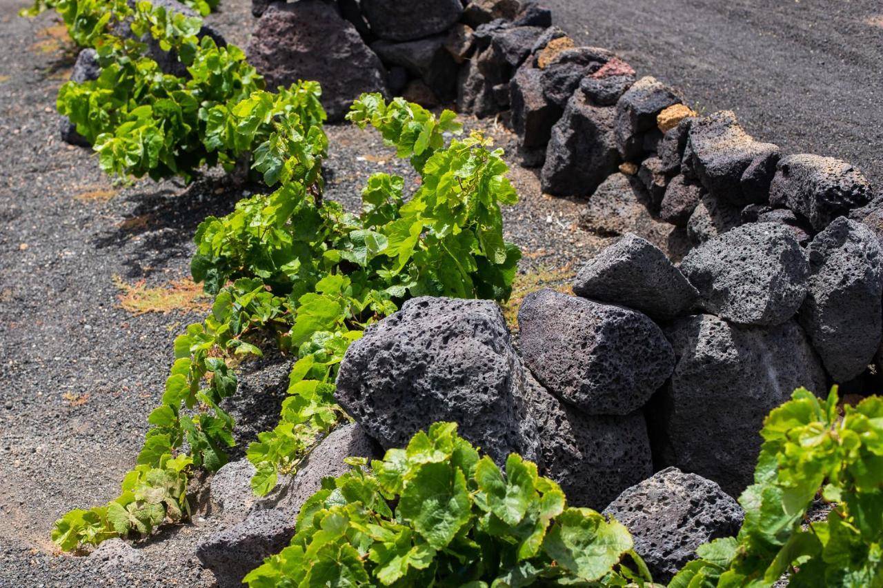 Hotel Eslanzarote Eco Dome Experience Teguise  Esterno foto